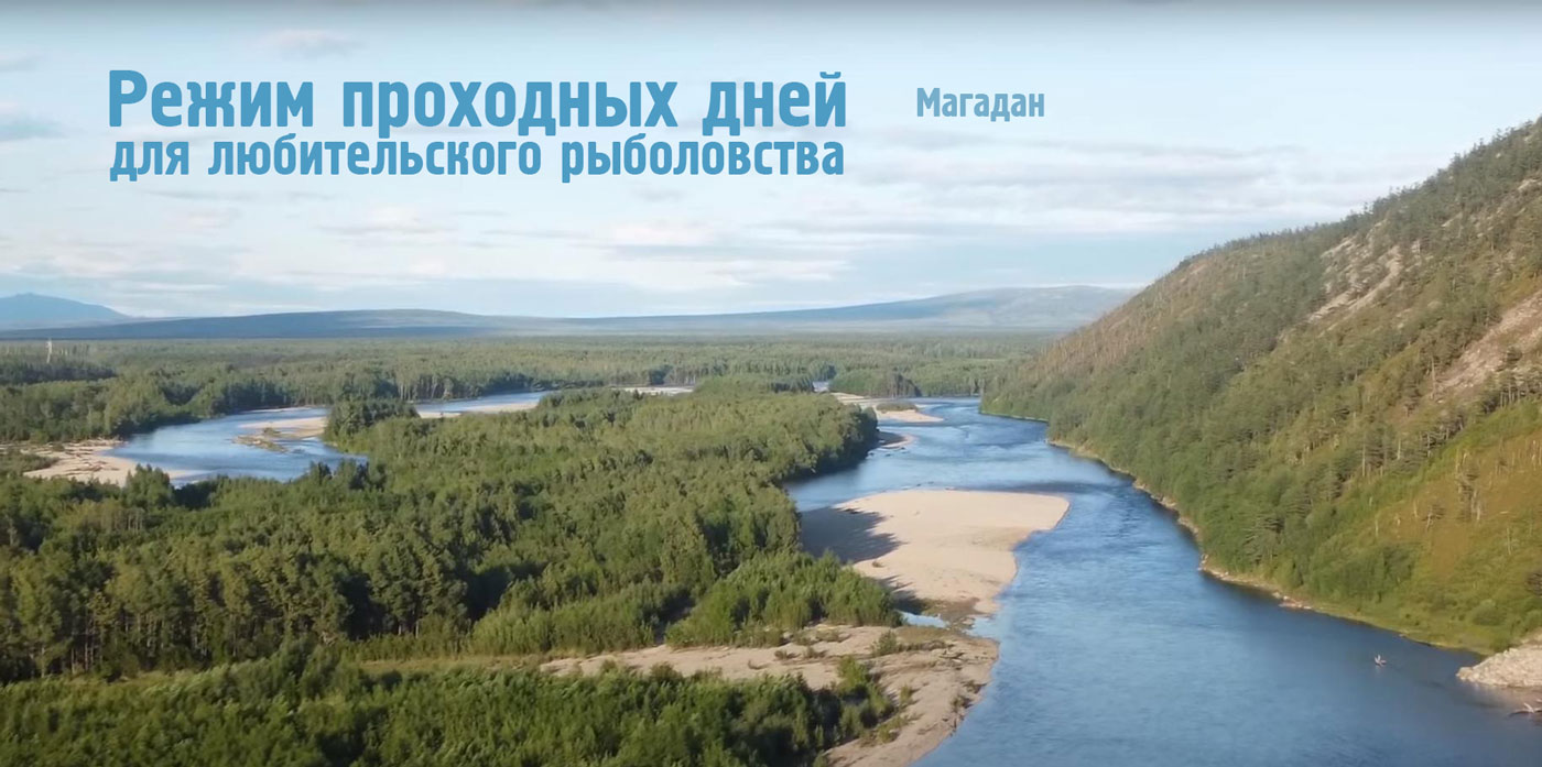 Режим проходных дней для лосося в Магадане
