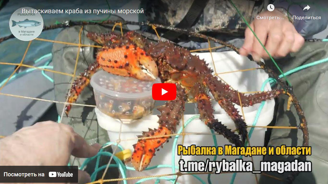 Видео: Как ловят краба в Магадане
